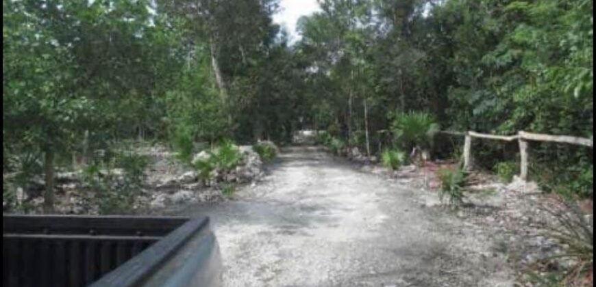 Súper Oportunidad Terreno en la Riviera Maya
