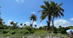 Frente al Mar terreno en la Costa Maya