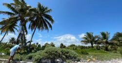 Frente al Mar terreno en la Costa Maya