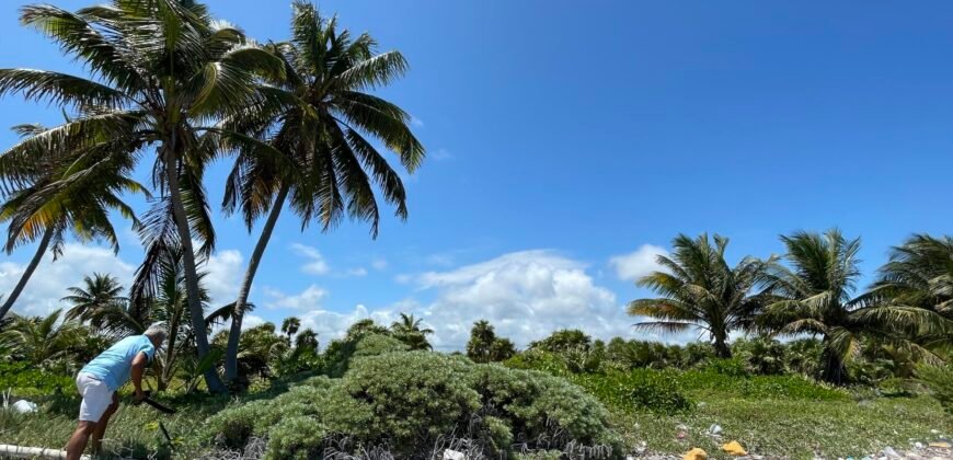 Frente al Mar terreno en la Costa Maya