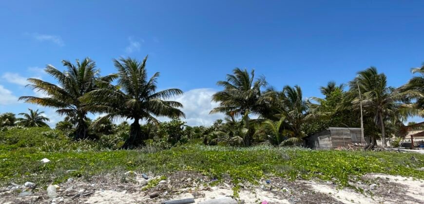 Frente al Mar terreno en la Costa Maya