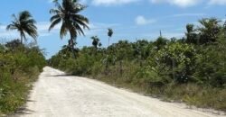Frente al Mar terreno en la Costa Maya