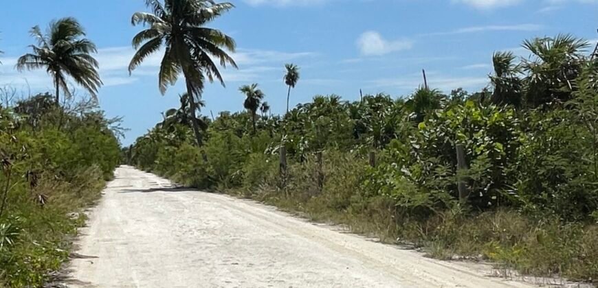 Frente al Mar terreno en la Costa Maya