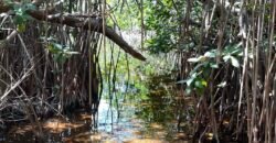 Frente al Mar terreno en la Costa Maya