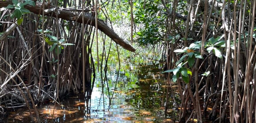 Frente al Mar terreno en la Costa Maya