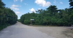 Frente al Mar terreno en la Costa Maya