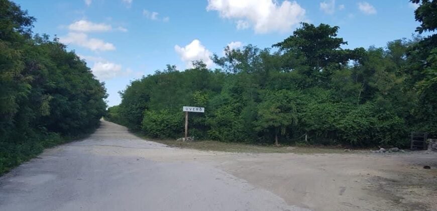 Frente al Mar terreno en la Costa Maya