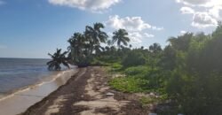 Frente al Mar terreno en la Costa Maya