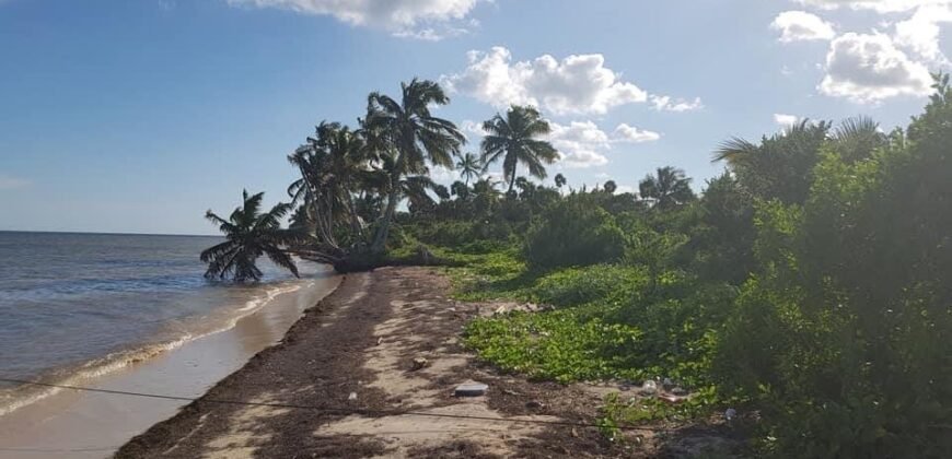 Frente al Mar terreno en la Costa Maya