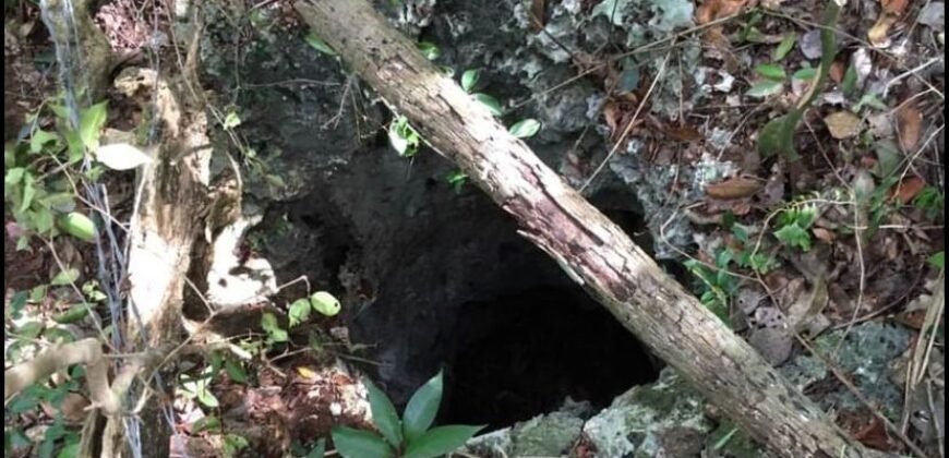 Súper Oportunidad Terreno en la Riviera Maya
