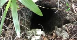 Súper Oportunidad Terreno en la Riviera Maya