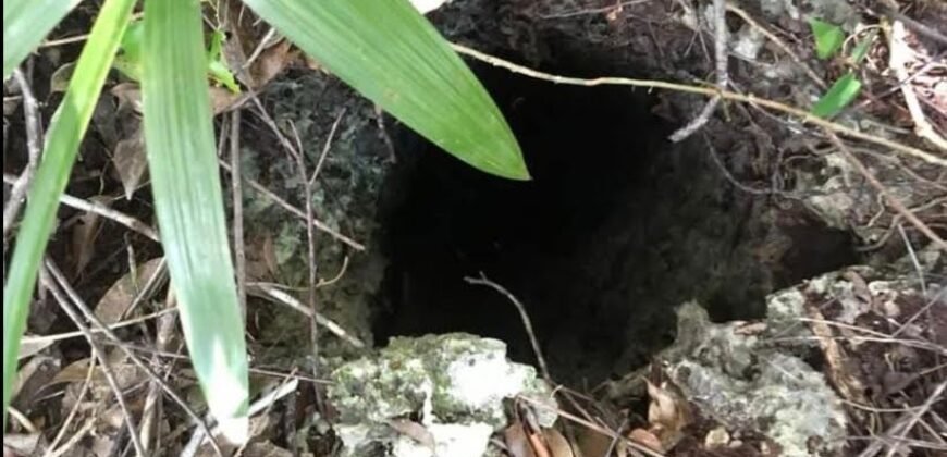 Súper Oportunidad Terreno en la Riviera Maya