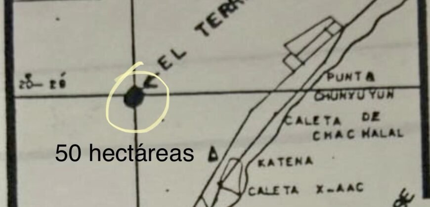 VARIAS HECTAREAS A LA VENTA EN PLAYA DEL CARMEN QUINTANA ROO