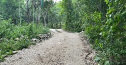VARIAS HECTAREAS A LA VENTA EN PLAYA DEL CARMEN QUINTANA ROO