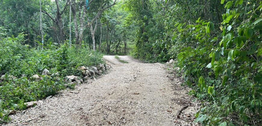 VARIAS HECTAREAS A LA VENTA EN PLAYA DEL CARMEN QUINTANA ROO