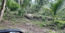 VARIAS HECTAREAS A LA VENTA EN PLAYA DEL CARMEN QUINTANA ROO