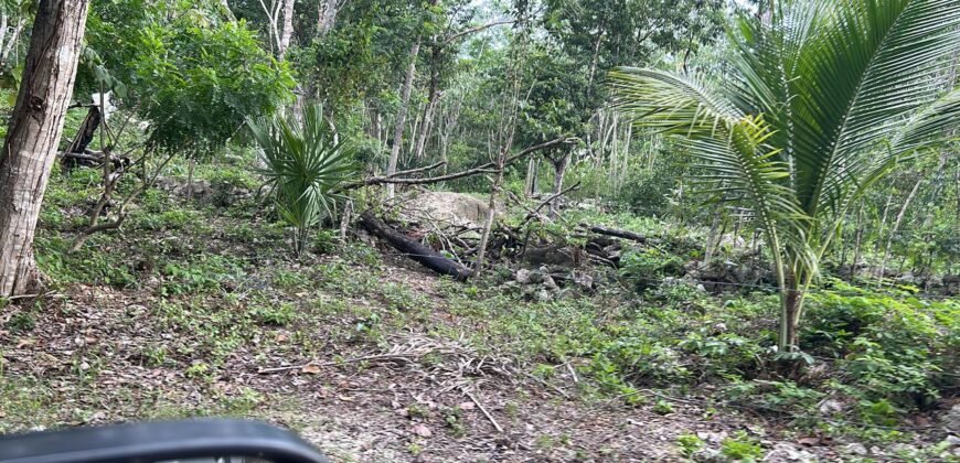 VARIAS HECTAREAS A LA VENTA EN PLAYA DEL CARMEN QUINTANA ROO