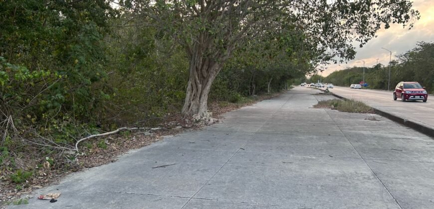 TERRENO COMERCIAL DE 880 MTS2 EN EL NUEVO CENTRO DE PLAYA DEL CARMEN QUINTANA ROO