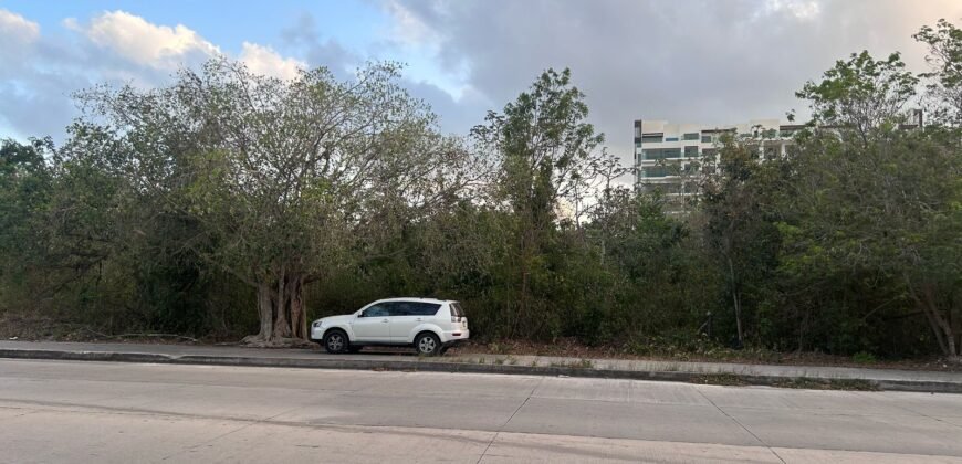 TERRENO COMERCIAL DE 880 MTS2 EN EL NUEVO CENTRO DE PLAYA DEL CARMEN QUINTANA ROO