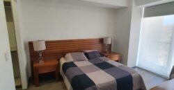 TI-133 RENTA DEPARTAMENTO AMUEBLADO TRES VISTAS JURIQUILLA.