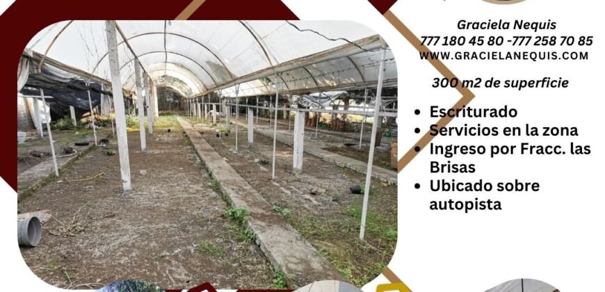 Terreno sobre autopista del Sol y fraccionamiento las Brisas, Temixco; Morelos.