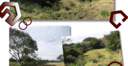 10 lotes comerciales “El Oasis” ubicados en Carr. Cuernavaca- Alpuyeca, Santa Fe, Xochitepec; Morelos