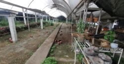 Terreno sobre autopista del Sol y fraccionamiento las Brisas, Temixco; Morelos.