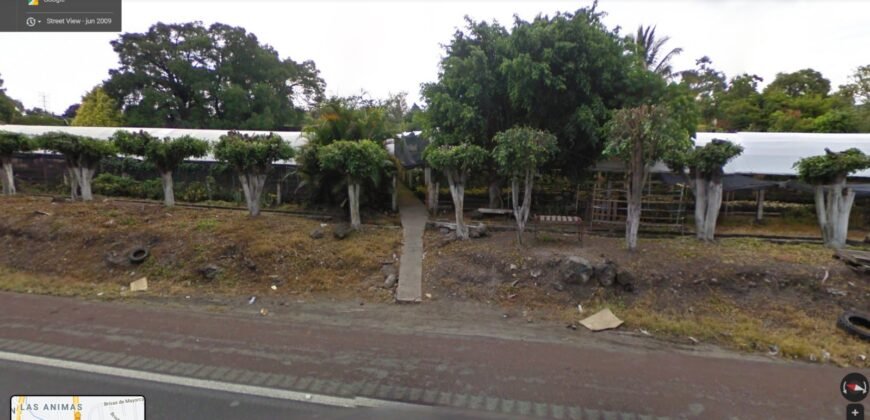 Terreno sobre autopista del Sol y fraccionamiento las Brisas, Temixco; Morelos.