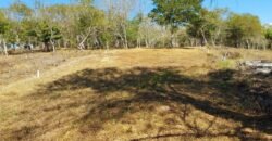 Lotes a solo 8 min del Santuario de la Tortuga en Escobilla/ Fraccionamiento Pedregal