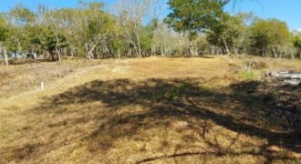 Lotes a solo 8 min del Santuario de la Tortuga en Escobilla/ Fraccionamiento Pedregal