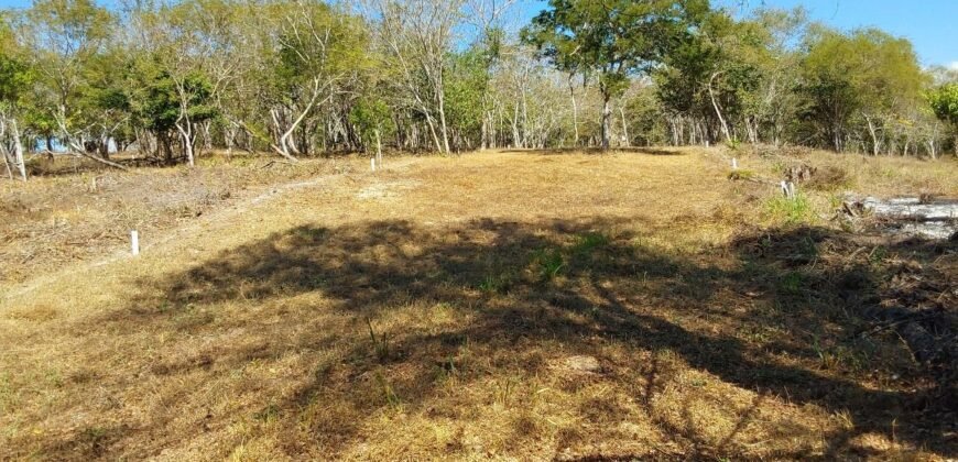 Lotes a solo 8 min del Santuario de la Tortuga en Escobilla/ Fraccionamiento Pedregal