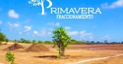 Lotes a 10 minutos de Playa el Puertecito/ Fraccionamiento Primavera