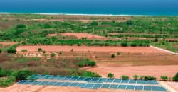 Lotes a solo 5 min de Playa El Tomatal y Playa Rosedal/ Fraccionamiento Vive Mar