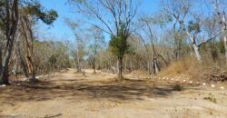 Lotes a 10 minutos de Playa el Puertecito/ Fraccionamiento Primavera