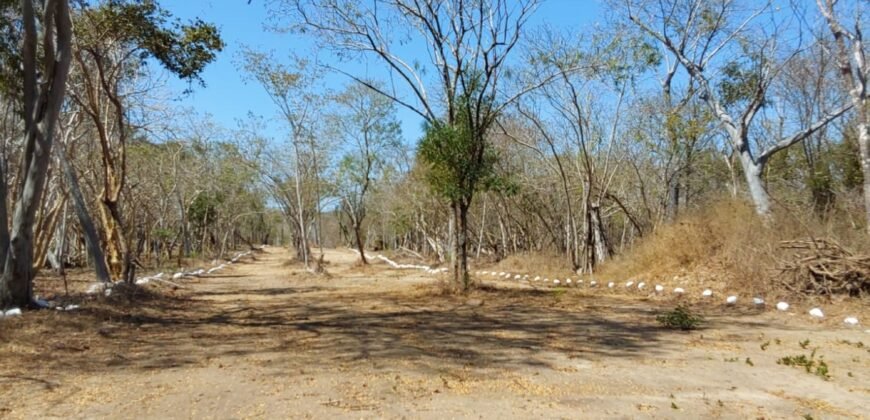 Lotes a 10 minutos de Playa el Puertecito/ Fraccionamiento Primavera