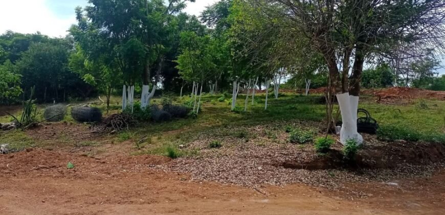 Lotes a 5 min del Mirador de Guapinol/ Fraccionamiento Sirio