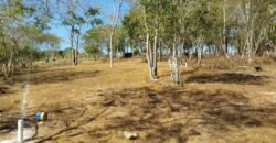 Lotes a solo 8 min del Santuario de la Tortuga en Escobilla/ Fraccionamiento Pedregal