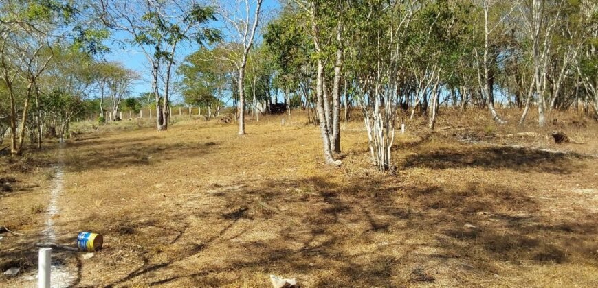 Lotes a solo 8 min del Santuario de la Tortuga en Escobilla/ Fraccionamiento Pedregal