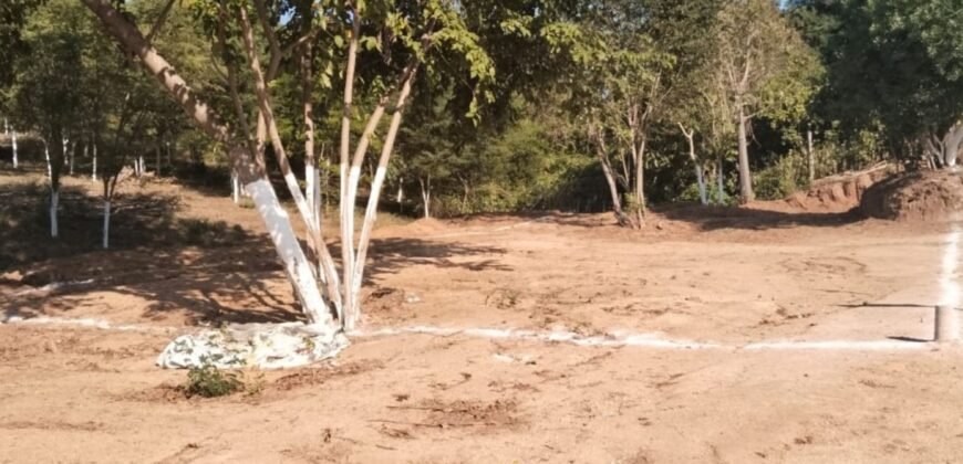 Lotes a 5 min del Mirador de Guapinol/ Fraccionamiento Sirio