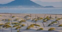 Lotes en Playa Azul a 120 metros de la Playa/ Residencial ZULL