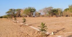 Lotes a 10 minutos de Playa el Puertecito/ Fraccionamiento Primavera