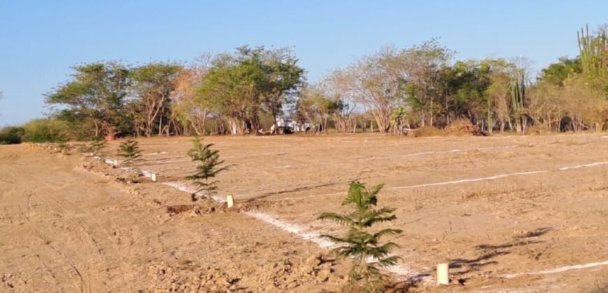 Lotes a 10 minutos de Playa el Puertecito/ Fraccionamiento Primavera