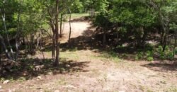 Lotes a solo 8 min del Santuario de la Tortuga en Escobilla/ Fraccionamiento Pedregal