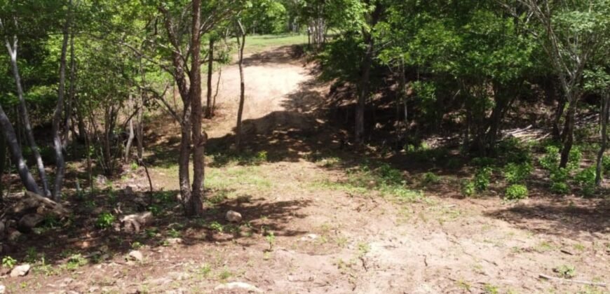 Lotes a solo 8 min del Santuario de la Tortuga en Escobilla/ Fraccionamiento Pedregal