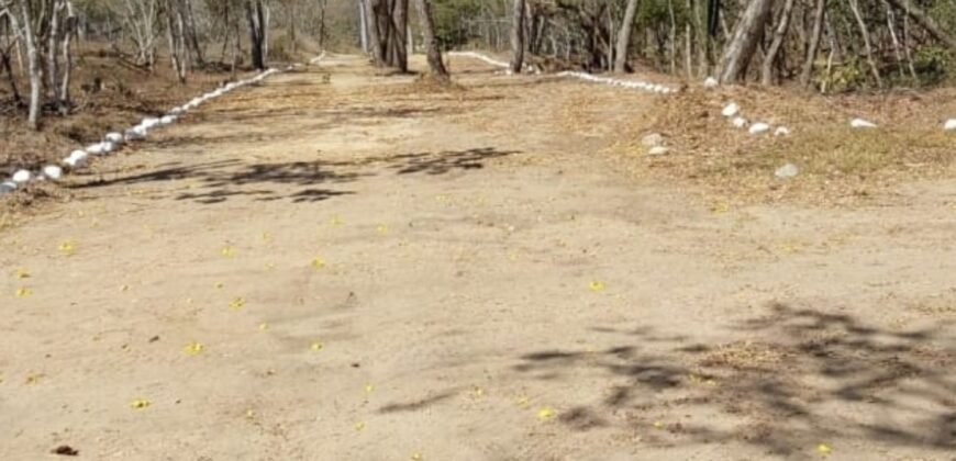 Lotes a 10 minutos de Playa el Puertecito/ Fraccionamiento Primavera