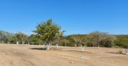 Lotes a 5 minutos de Playa El Puertecito/ Fraccionamiento Valle del Rio