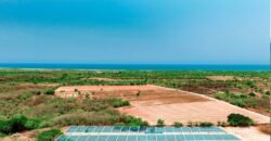 Lotes a solo 5 min de Playa El Tomatal y Playa Rosedal/ Fraccionamiento Vive Mar