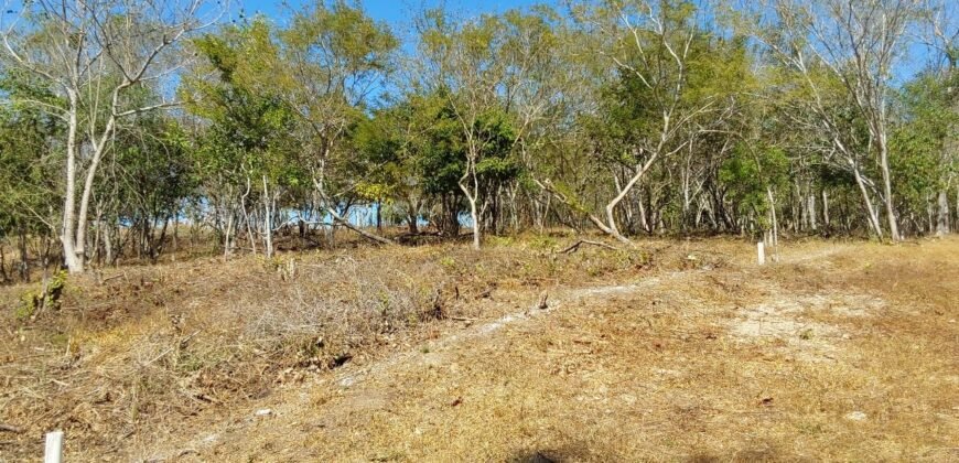 Lotes a solo 8 min del Santuario de la Tortuga en Escobilla/ Fraccionamiento Pedregal
