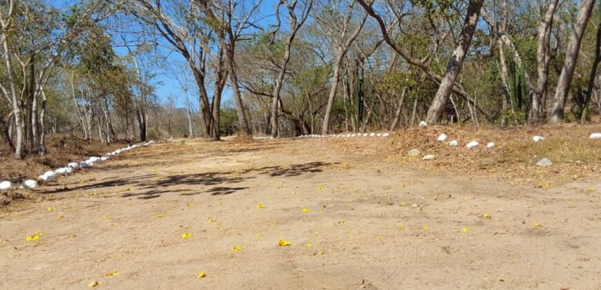 Lotes a 10 minutos de Playa el Puertecito/ Fraccionamiento Primavera
