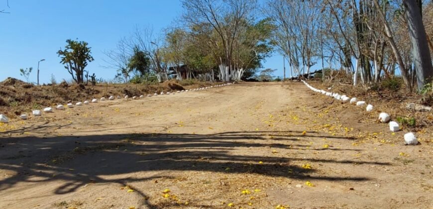 Lotes a 10 minutos de Playa el Puertecito/ Fraccionamiento Primavera